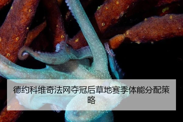 de-yue-ke-wei-qi-fa-wang-duo-guan-hou-cao-di-sai-ji-ti-neng-fen-pei-ce-lve-2-746.jpg