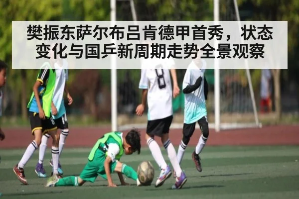 樊振东萨尔布吕肯德甲首秀,状态变化与国乒新周期走势全景观察
